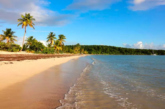 Sun Bay Beach is one of Vieques' many stunning beaches, offering a tranquil atmosphere with minimal crowds in Puerto Rico.