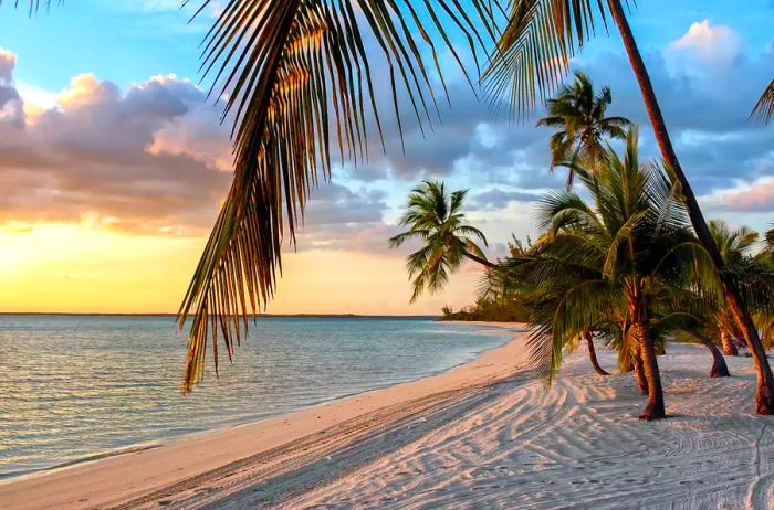 Tranquil sunset over the shores of Andros, Bahamas