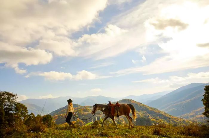 A woman strolls along a mountain ridge with a horse