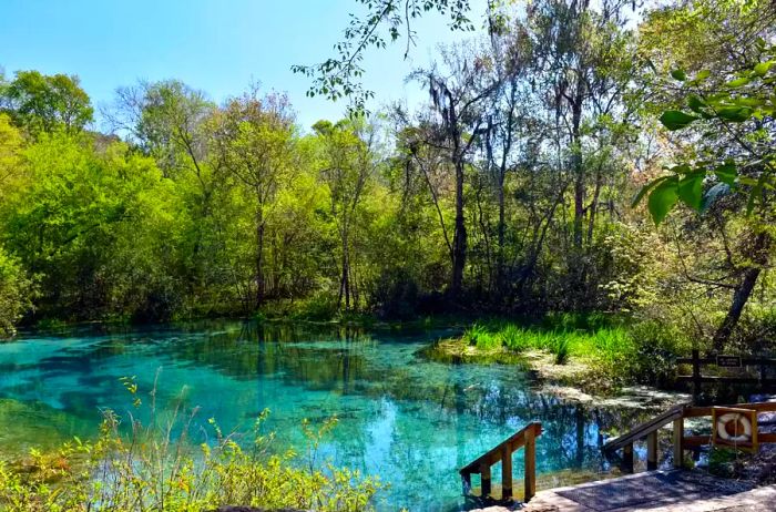 Ichetucknee Springs State Park in Florida is a favorite spot for tubing, kayaking, and other water activities. The stunning turquoise headwaters create a magical and reflective atmosphere for visitors.