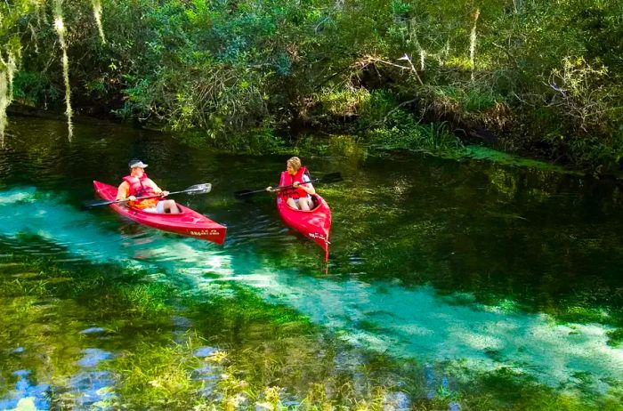 Two individuals kayaking