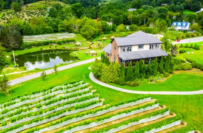 An aerial view of a winery in Banner Elk