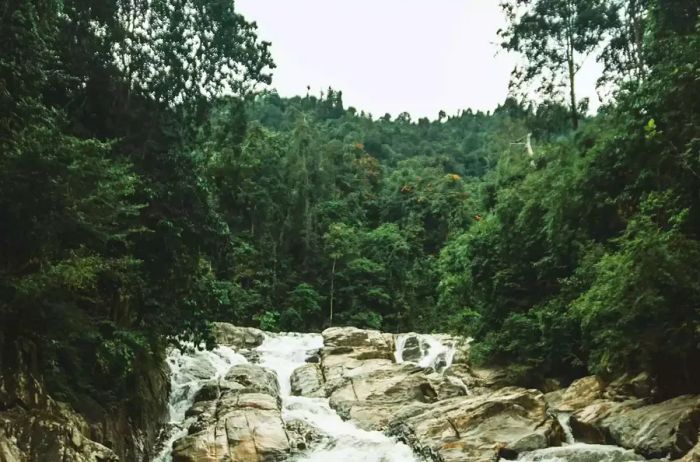 A cascade of water tumbling over rocky terrain.