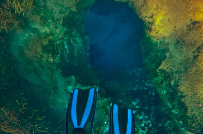 A view of swimming fins in the water