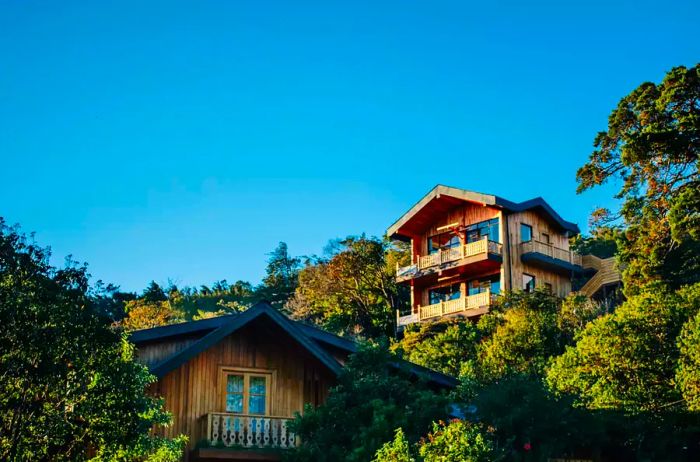 A hotel featuring a wooden facade nestled among lush greenery in Costa Rica