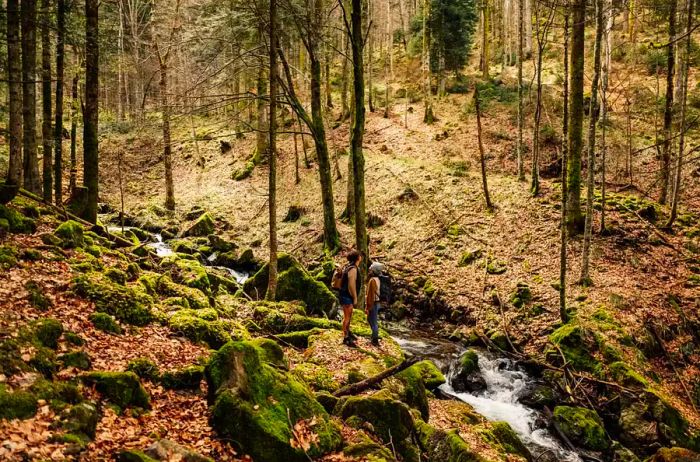 Two Gen Z friends enjoying a day together hiking through the woods.