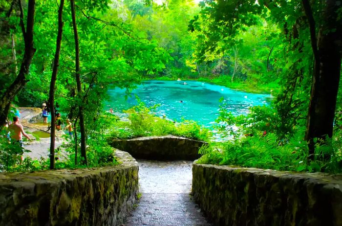 Scenic View of Ichetucknee Springs