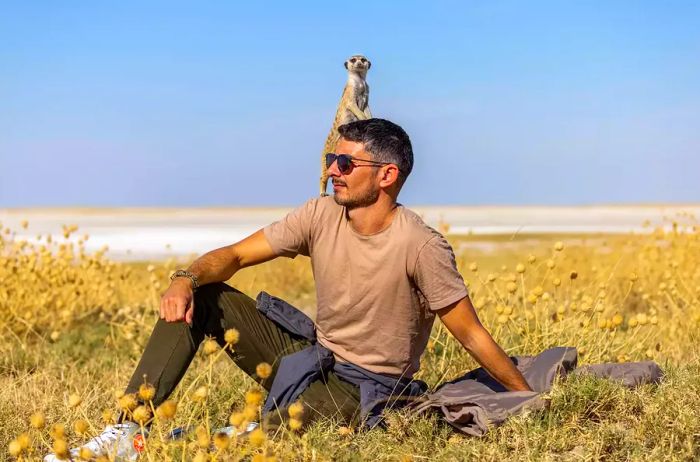 Meerkats in the Kalahari Desert, Southern Africa