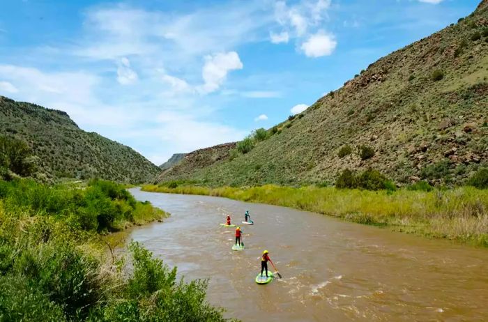 A collection of four paddle boards on the Rio Grande river.