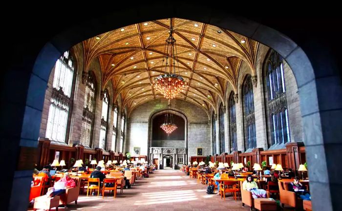 The Most Stunning College Libraries in the United States