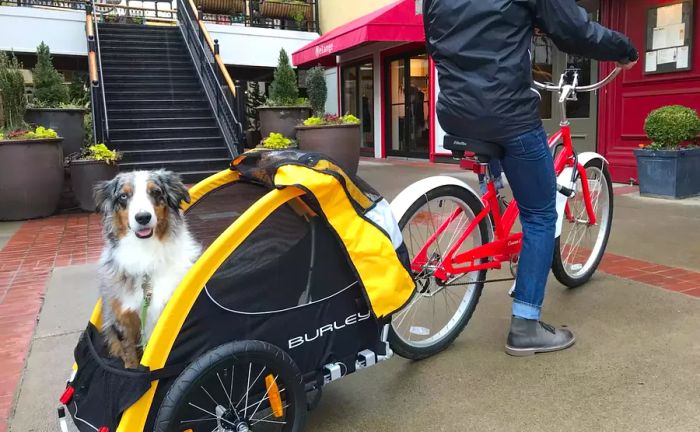 The Inn at the 5th in Eugene, Oregon is dog-friendly, ensuring your pup feels right at home during your stay.