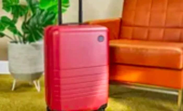 Monos Carry-On Plus positioned next to a chair and a plant on a green carpet