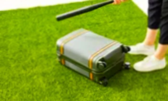 Individual raising a bat over the Paravel Aviator Carry-on Plus on a grassy surface