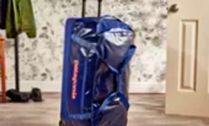 Patagonia Black Hole Wheeled Duffel Bag 100L showcased upright against a floral backdrop