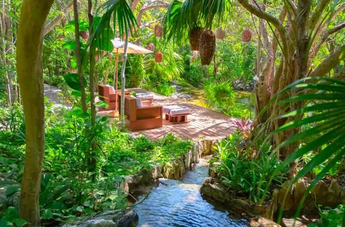 The Sense Spa Cenote deck at Rosewood Mayakoba