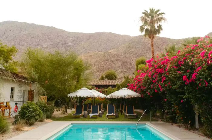 A serene pool area surrounded by vibrant greenery at Casa Cody