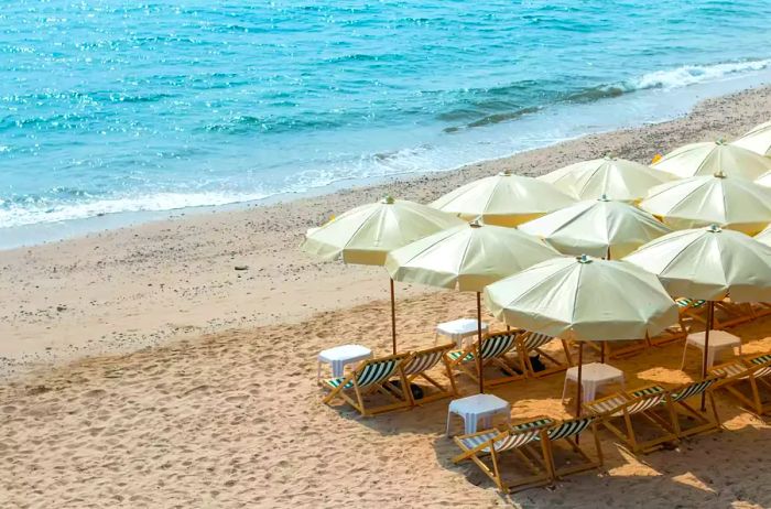 A line of beach chairs and umbrellas dot the shoreline as the waves roll in.