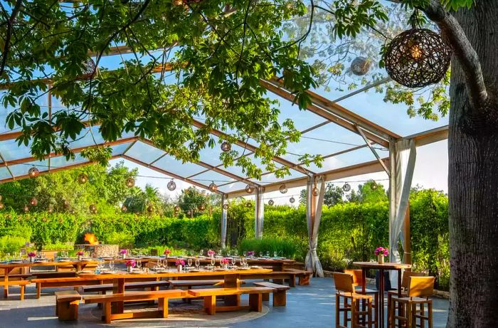 The La Ceiba Garden and Kitchen at Rosewood Mayakoba