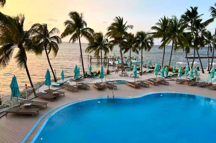 The resort pool at Bungalows Key Largo, surrounded by swaying palm trees.