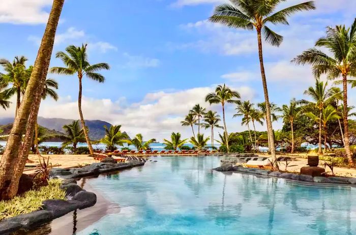 Main pool surrounded by palm trees.