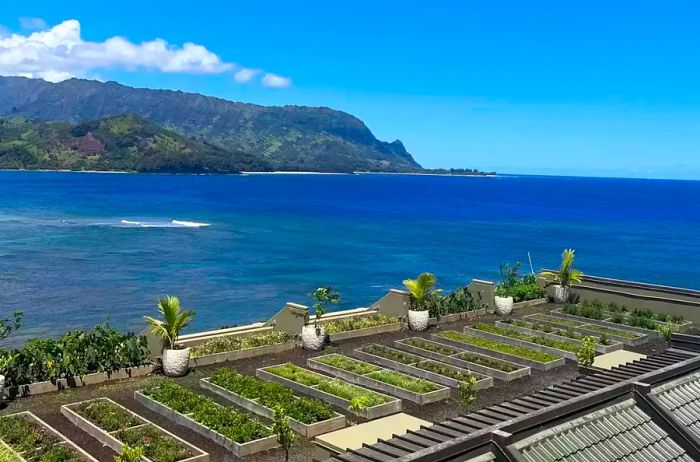 Rooftop garden at 1Hotel Hanalei Bay.