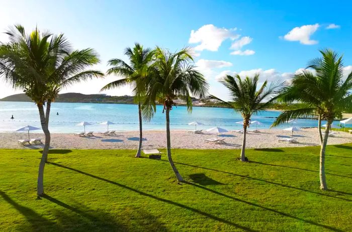 Private beach lined with palm trees at Wymara Villas in Turks and Caicos.