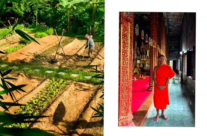 A village farm worker tending to crops alongside a monk in a temple near Amansara, Cambodia.