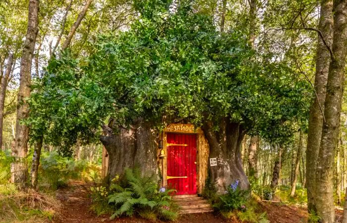 Winnie the Pooh-themed Airbnb