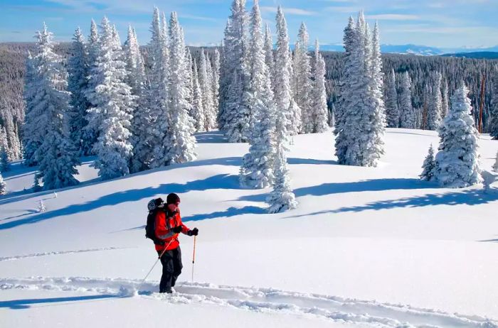 A hiker navigating a snow-covered mountain in Steamboat Springs