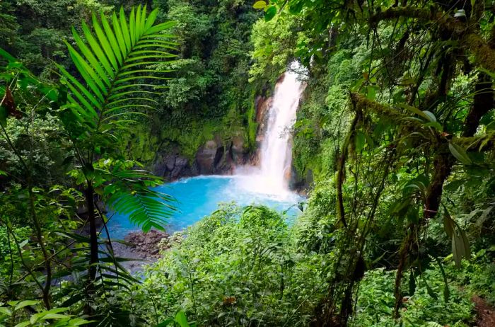 Waterfall at Rio Celeste, Tenorio National Park, Guanacaste, Costa Rica, Central America.