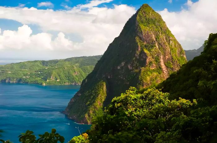 A view of the striking Petit Piton rising from the azure Caribbean Sea, seen from the slopes of the nearby Gros Piton, near Soufriere, Saint Lucia.