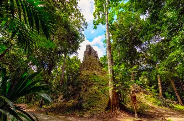 canopy-tour-guatemala-tikal-national-park-ADVENTUREVACAY0521