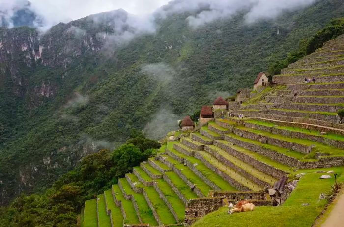 Machu Picchu