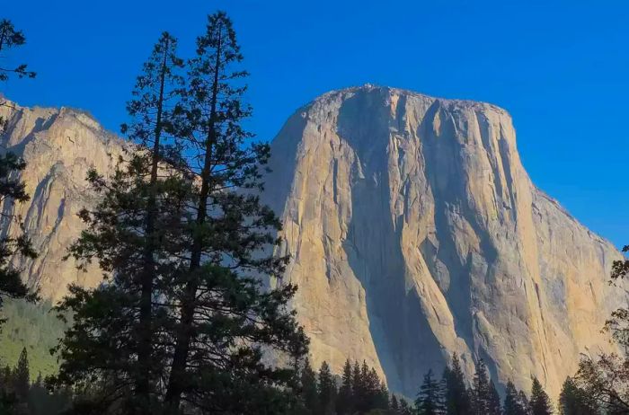 Yosemite National Park