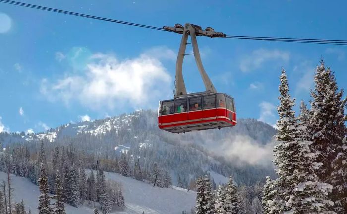 Snowbird Ski Resort