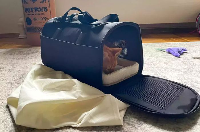 Away Pet Carrier