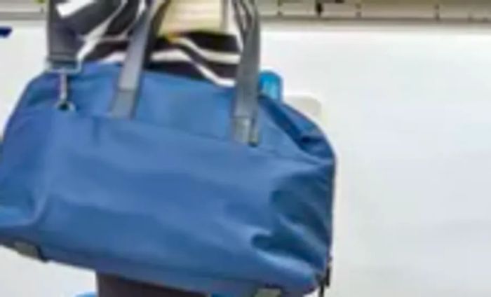 A person is seen carrying the Away The Everywhere Bag.