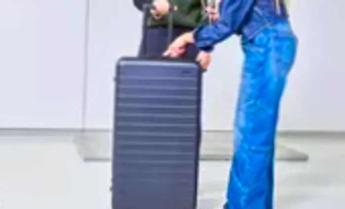 Individuals examining the Away The Trunk