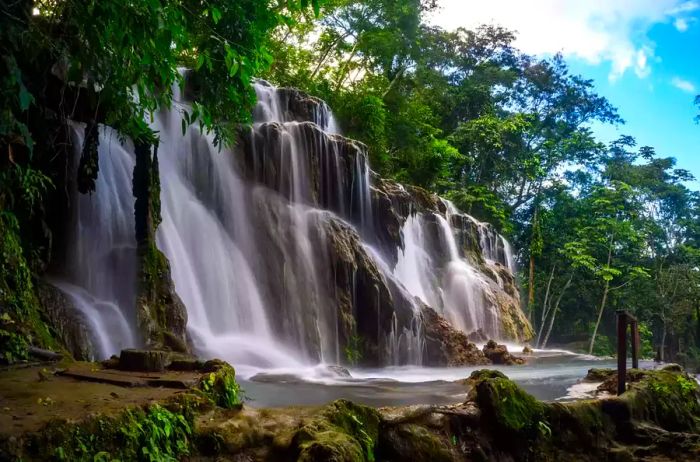 Villa Luz Waterfall, located in Tabasco, Mexico