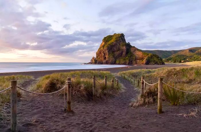 Lion Rock at Piha Beach, located near Auckland, New Zealand