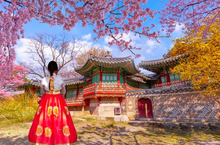 A woman in traditional hanbok stands gracefully before Changdeokgung Palace.