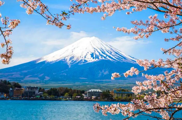 The stunning view of Mount Fuji during cherry blossom season