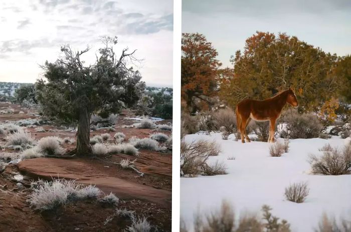 Navajo Life During Winter at Canyon de Chelly