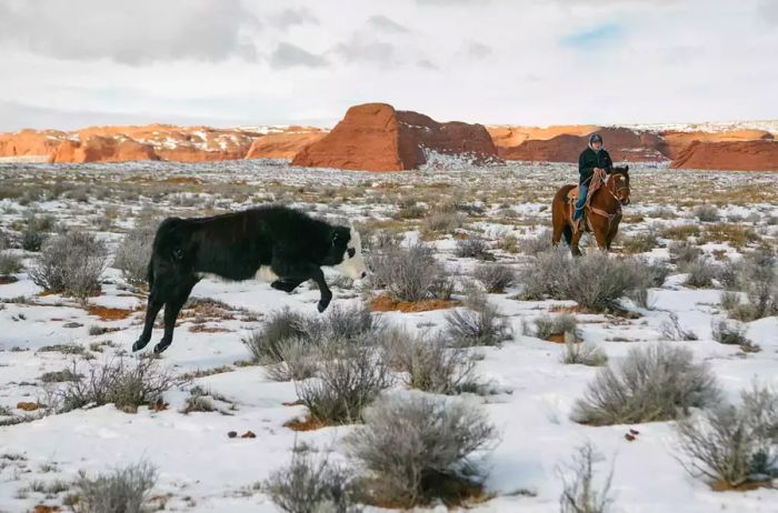 Navajo Life in Winter at Canyon de Chelly