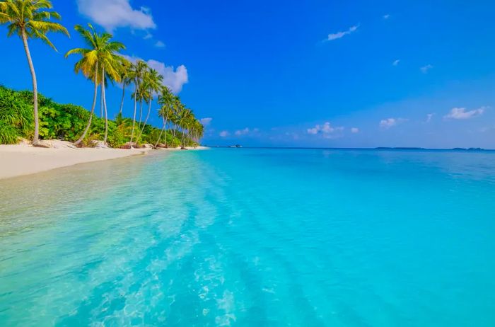 A view of a palm-fringed white-sand beach with sparkling turquoise waters and clear blue skies.