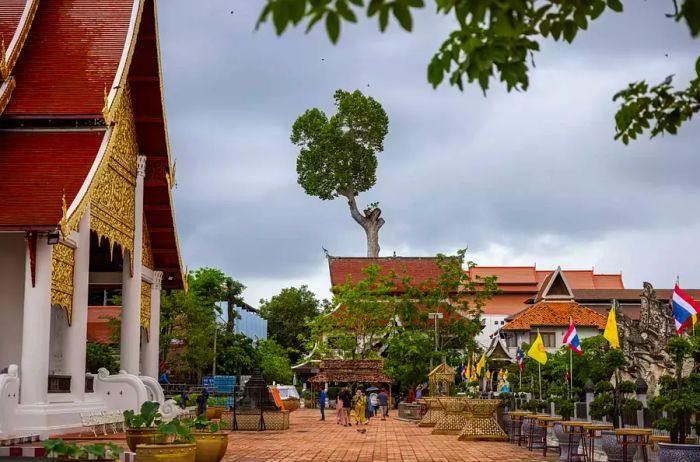 Individuals strolling around temples