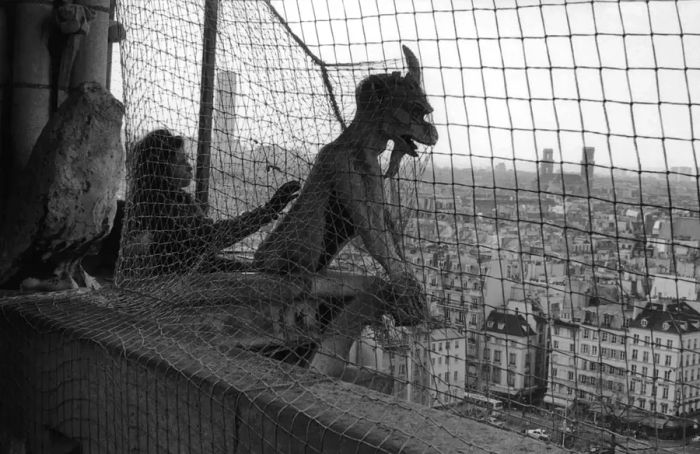 FRANCE - CIRCA 1989: A gargoyle on the Notre Dame Cathedral in Paris, 1989, covered with a protective net.