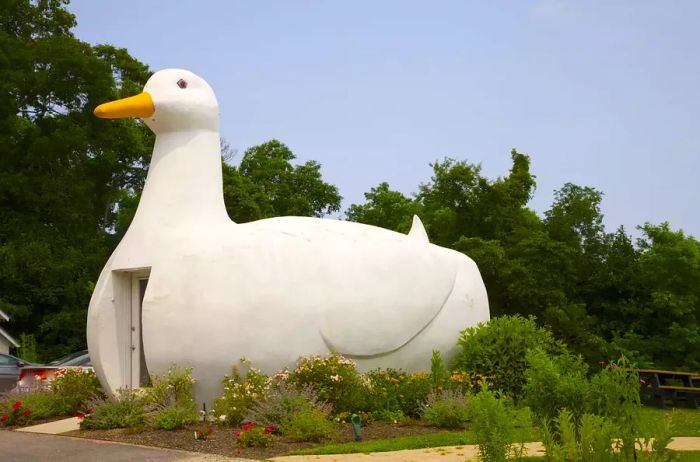 Oversized roadside duck in Flanders, New York