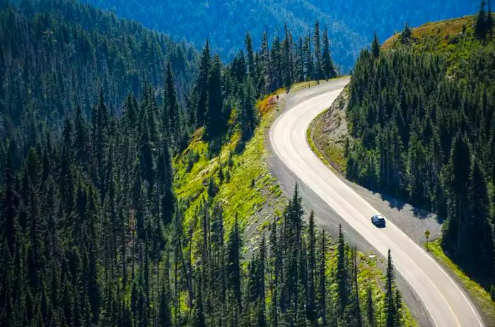 Bird's-eye view of a car traversing a picturesque road in Olympic National Park