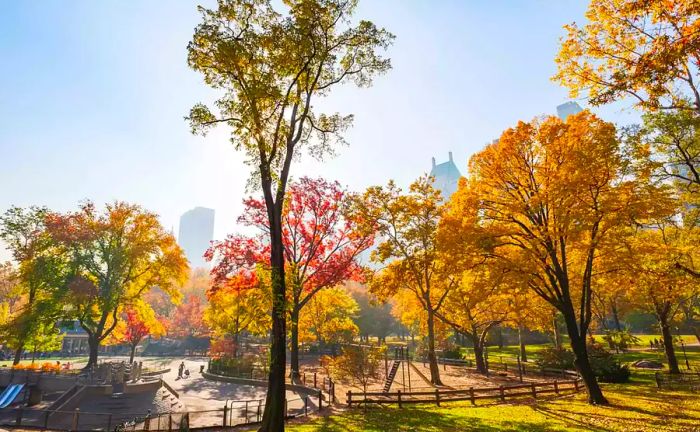 Fallen Leaves in the Park Instagram